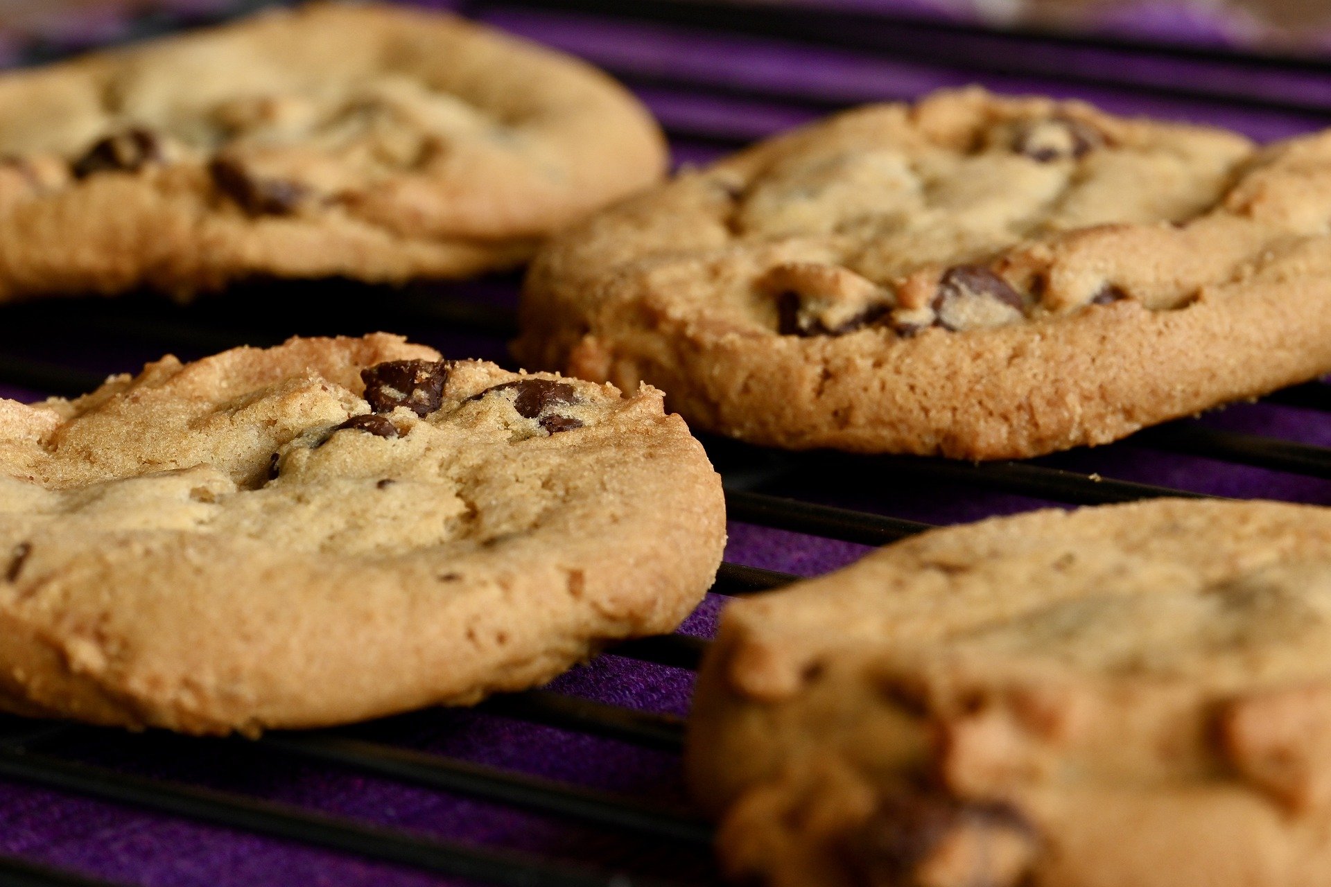 Ewe-gooey Chocolate Chip Cookies